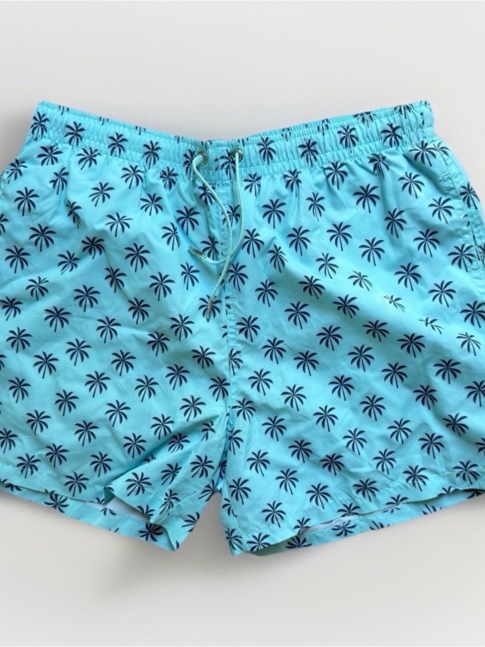 Zara Aqua Swim Trunks with Navy Palm Print